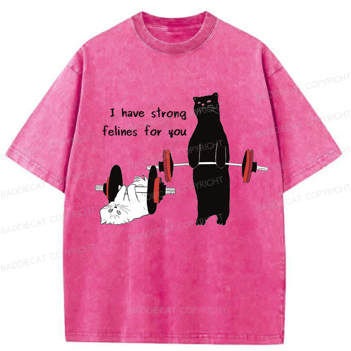 Baddiecat Powerful Cat Washed T-shirt