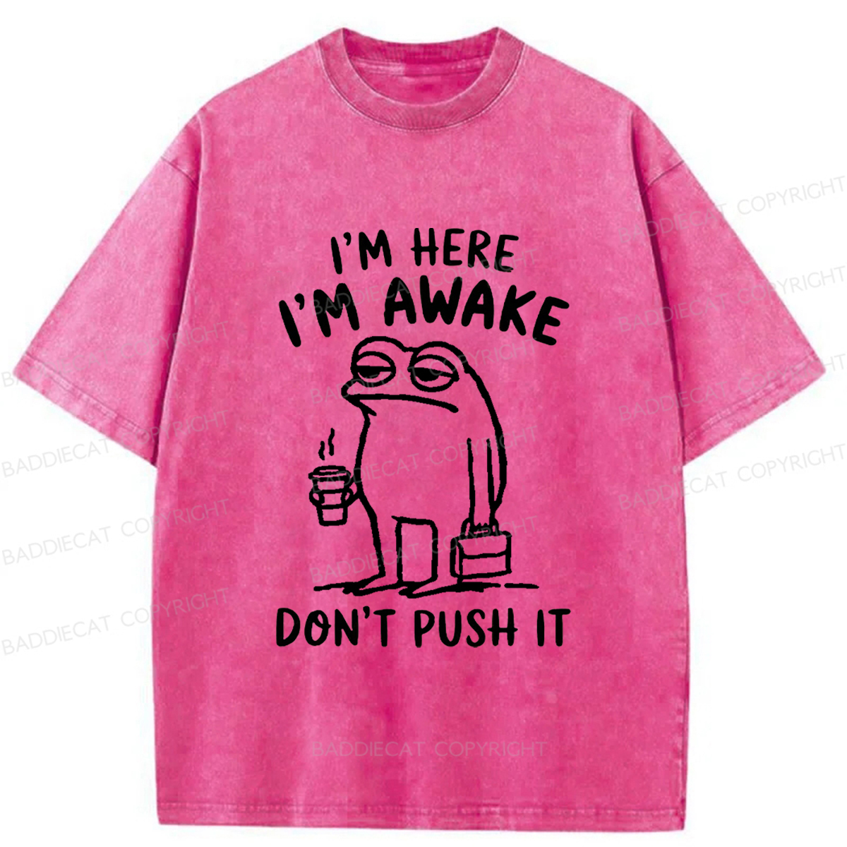 Baddiecat Sleep-deprived Frog Washed T-shirt