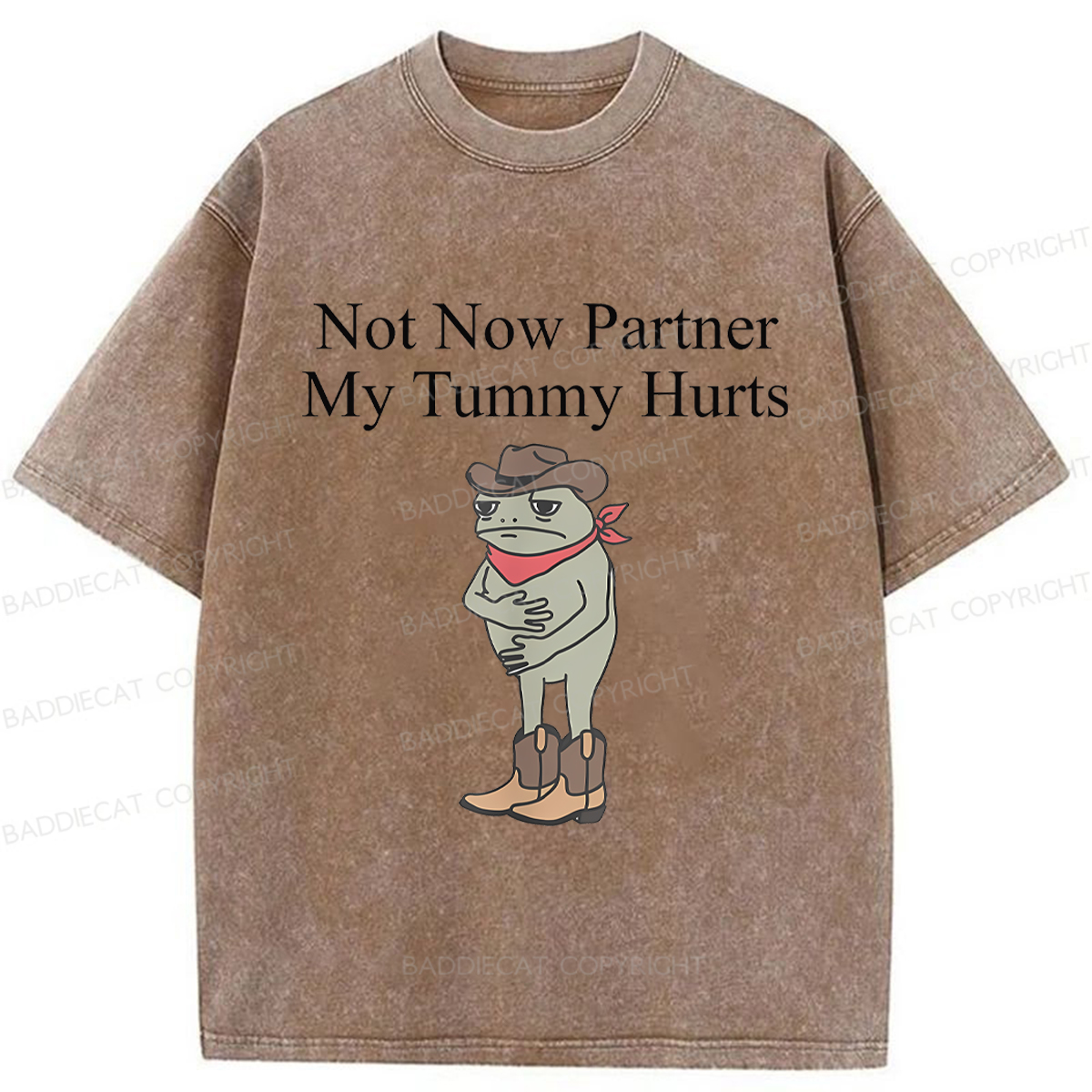 Baddiecat Not Now Partner My Tummy Hurts Frog Funny Washed T-shirt