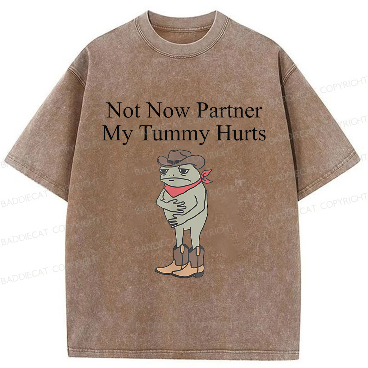 Baddiecat Not Now Partner My Tummy Hurts Frog Funny Washed T-shirt