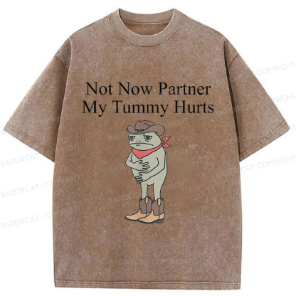 Baddiecat Not Now Partner My Tummy Hurts Frog Funny Washed T-shirt