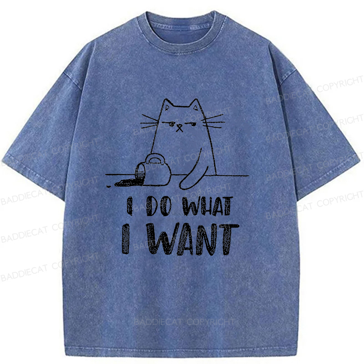 Baddiecat Do What I Want To Do Washed T-shirt