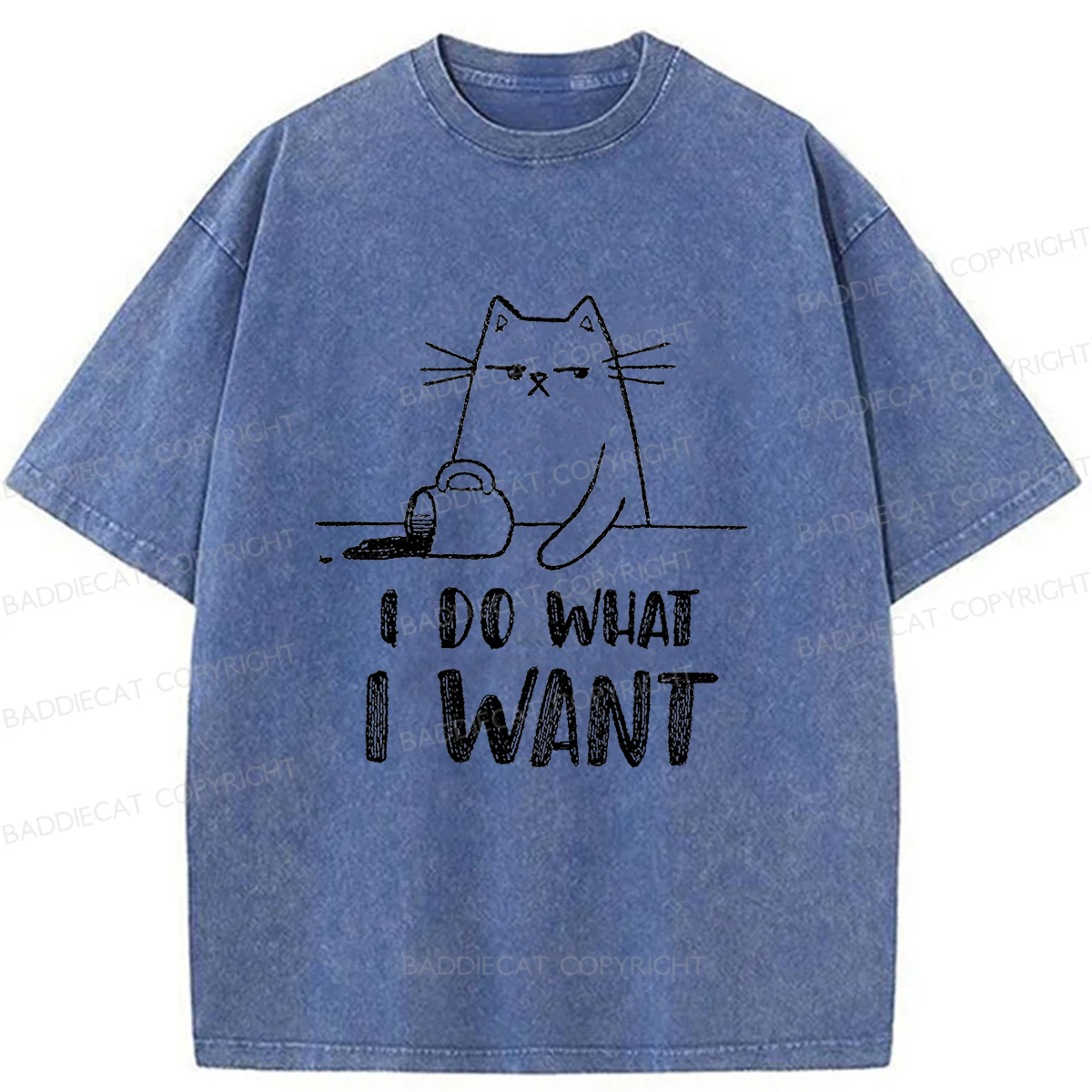 Baddiecat Do What I Want To Do Washed T-shirt