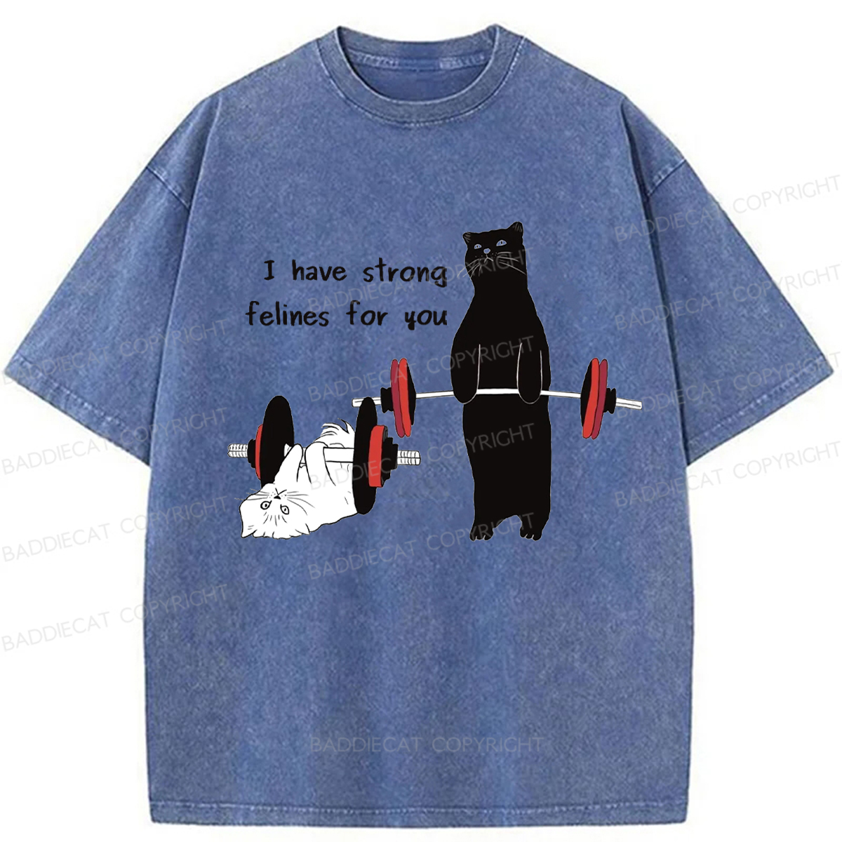 Baddiecat Powerful Cat Washed T-shirt