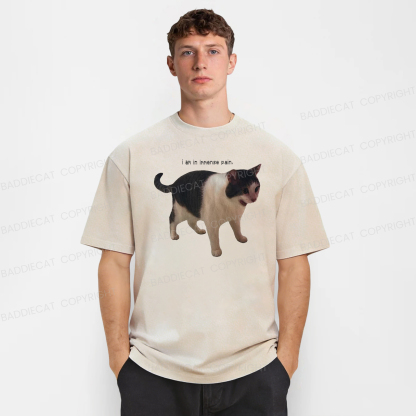 Baddiecat Immense Pain Cat Washed T-shirt