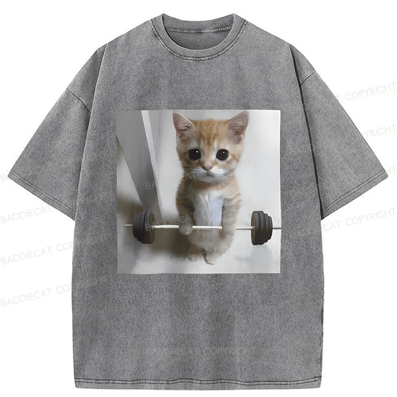 Baddiecat Cat Fun Fitness Washed T-shirt