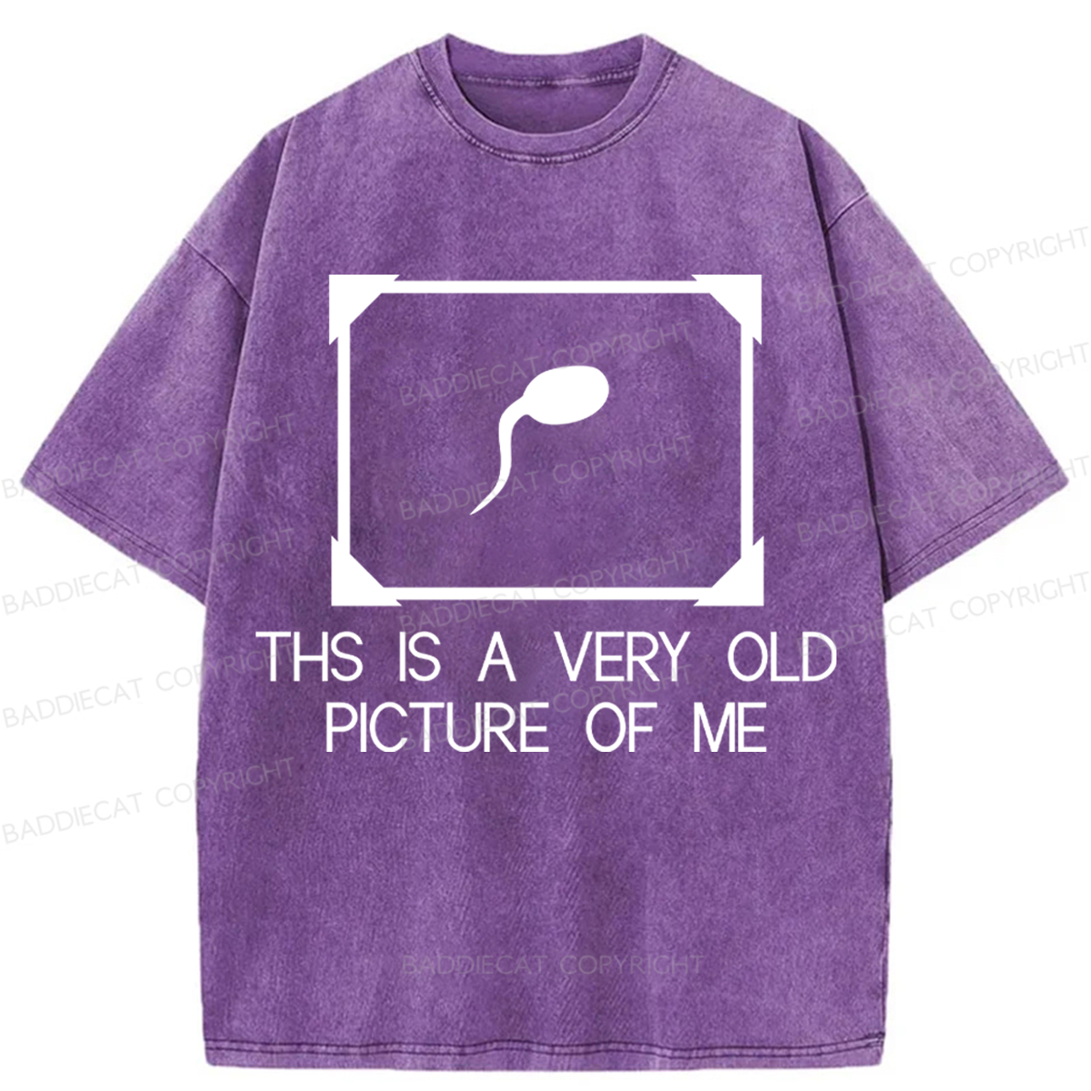 Baddiecat This Is A Very Old Picture Of Me Washed T-shirt