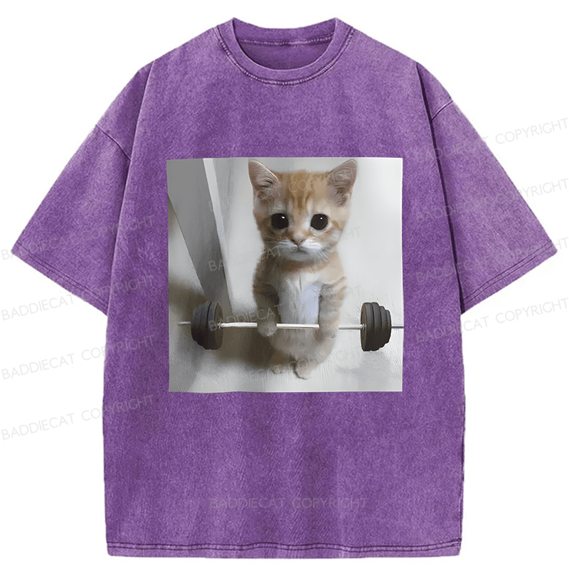 Baddiecat Cat Fun Fitness Washed T-shirt