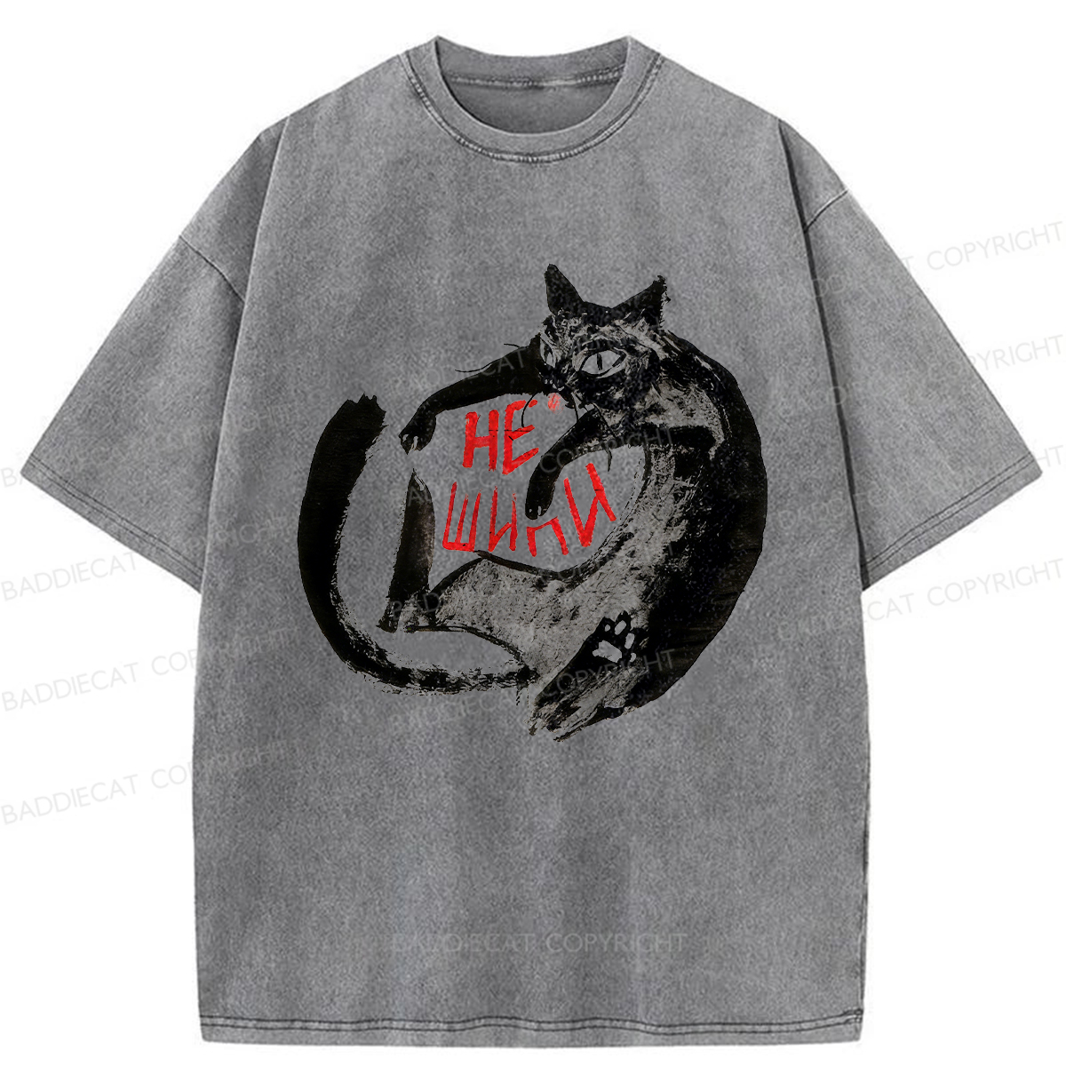 Baddiecat Don't Hiss Washed T-shirt