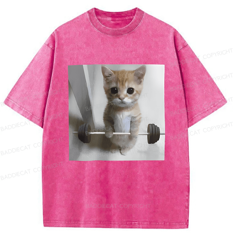 Baddiecat Cat Fun Fitness Washed T-shirt