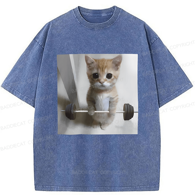 Baddiecat Cat Fun Fitness Washed T-shirt