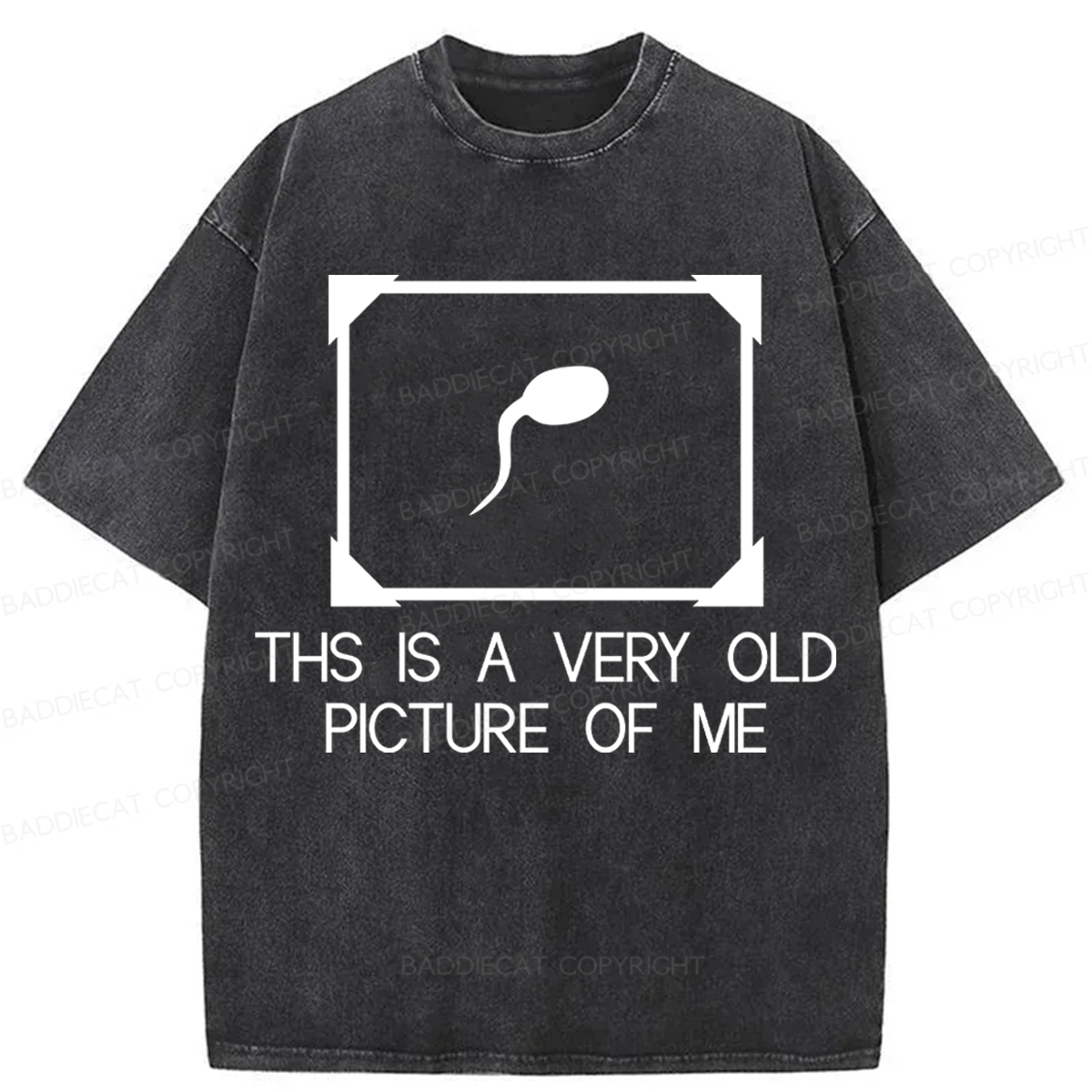 Baddiecat This Is A Very Old Picture Of Me Washed T-shirt