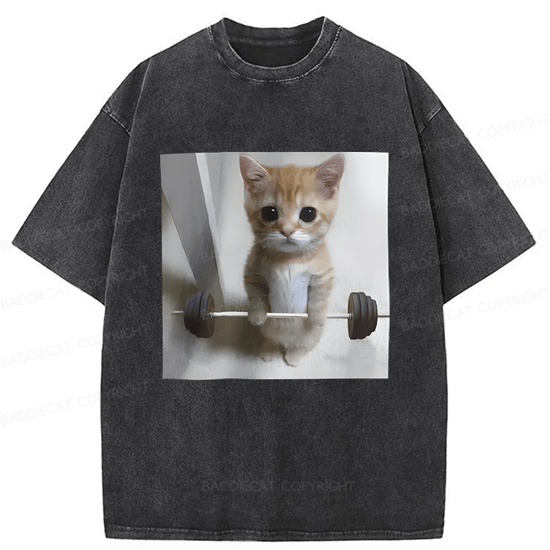 Baddiecat Cat Fun Fitness Washed T-shirt