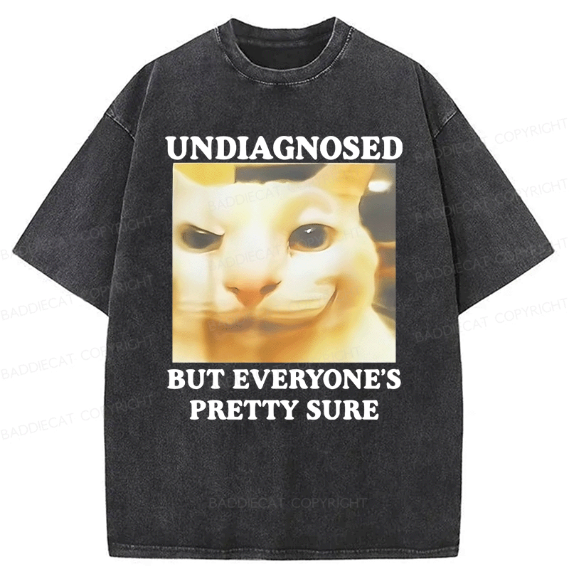 Baddiecat Undiagnosed But Everyone's Prettty Sure Cat meme Washed T-shirt