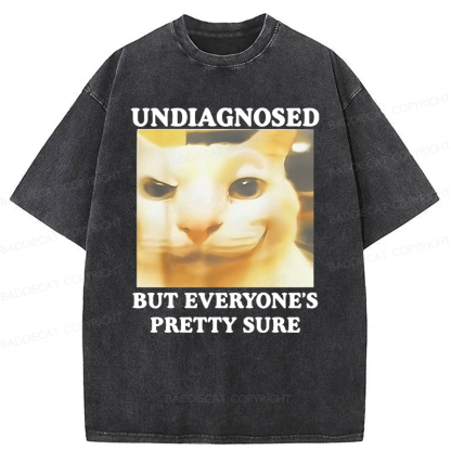 Baddiecat Undiagnosed But Everyone's Prettty Sure Cat meme Washed T-shirt