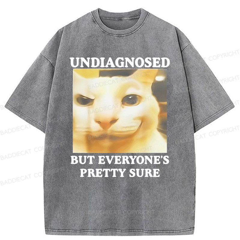 Baddiecat Undiagnosed But Everyone's Prettty Sure Cat meme Washed T-shirt