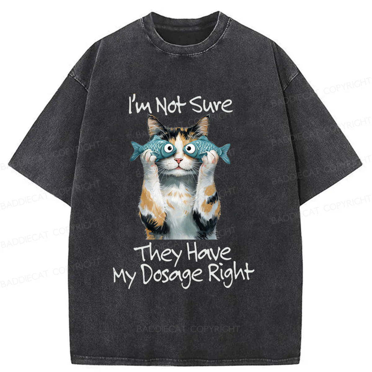 Baddiecat Cat Meme Sarcastic Ironic Washed T-shirt