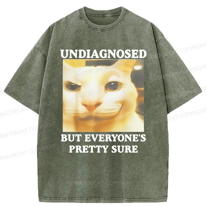 Baddiecat Undiagnosed But Everyone's Prettty Sure Cat meme Washed T-shirt