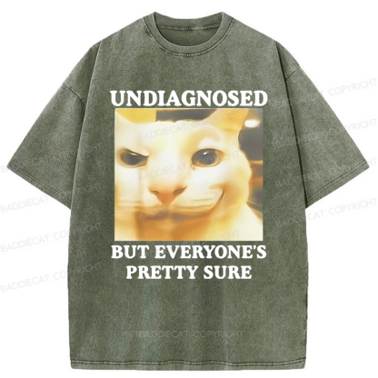 Baddiecat Undiagnosed But Everyone's Prettty Sure Cat meme Washed T-shirt