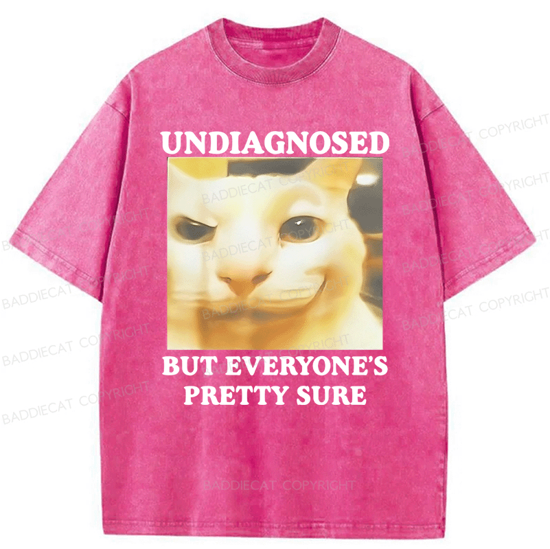 Baddiecat Undiagnosed But Everyone's Prettty Sure Cat meme Washed T-shirt