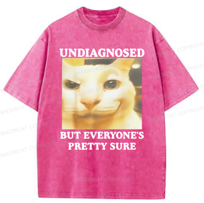 Baddiecat Undiagnosed But Everyone's Prettty Sure Cat meme Washed T-shirt
