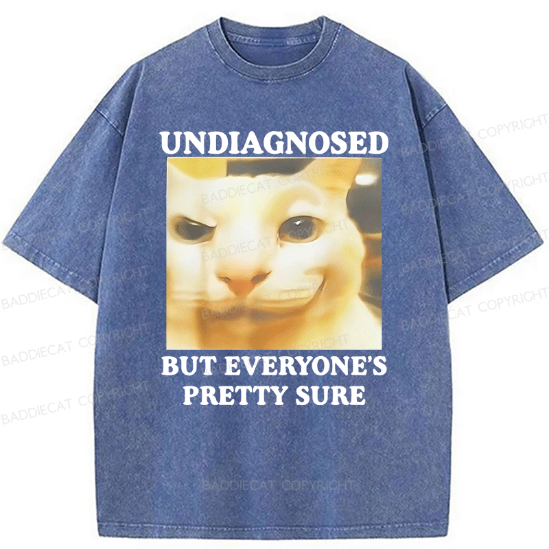 Baddiecat Undiagnosed But Everyone's Prettty Sure Cat meme Washed T-shirt