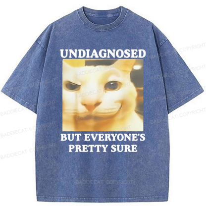 Baddiecat Undiagnosed But Everyone's Prettty Sure Cat meme Washed T-shirt