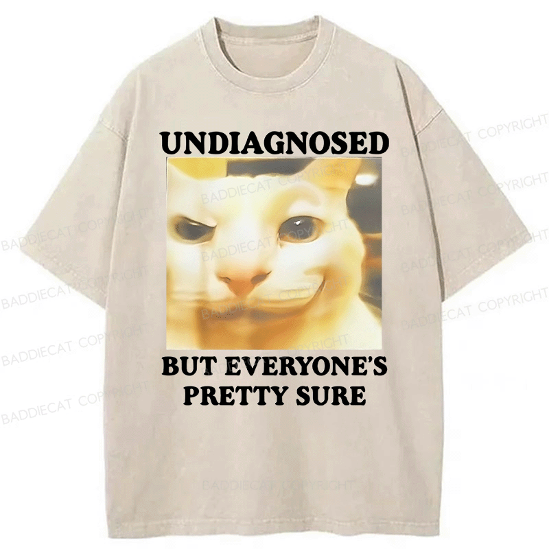 Baddiecat Undiagnosed But Everyone's Prettty Sure Cat meme Washed T-shirt
