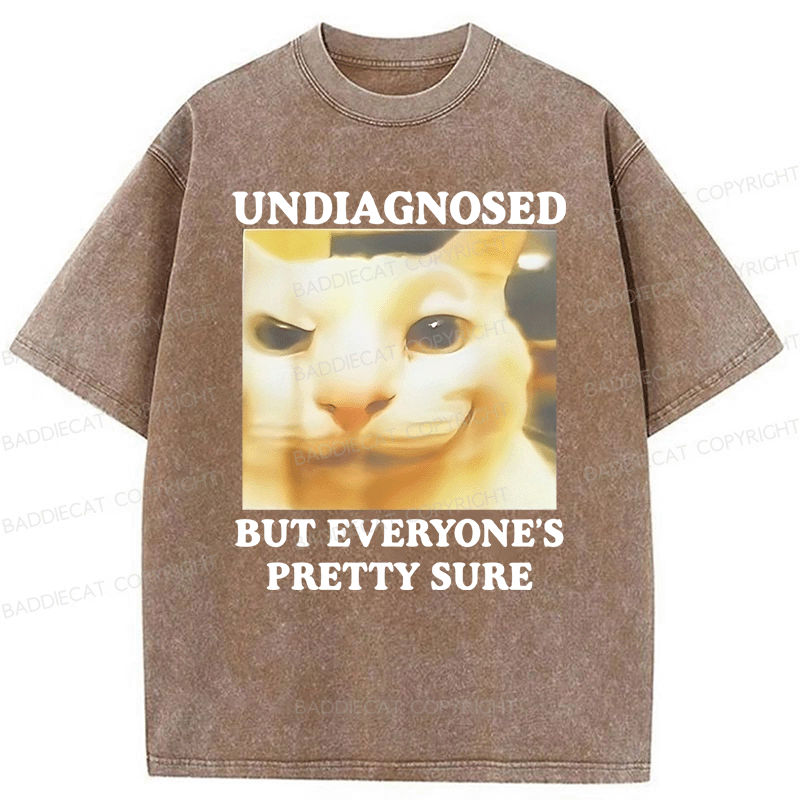 Baddiecat Undiagnosed But Everyone's Prettty Sure Cat meme Washed T-shirt