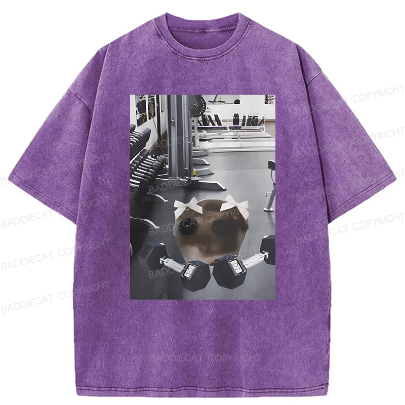 Baddiecat Sad Hamster Workout Washed T-shirt