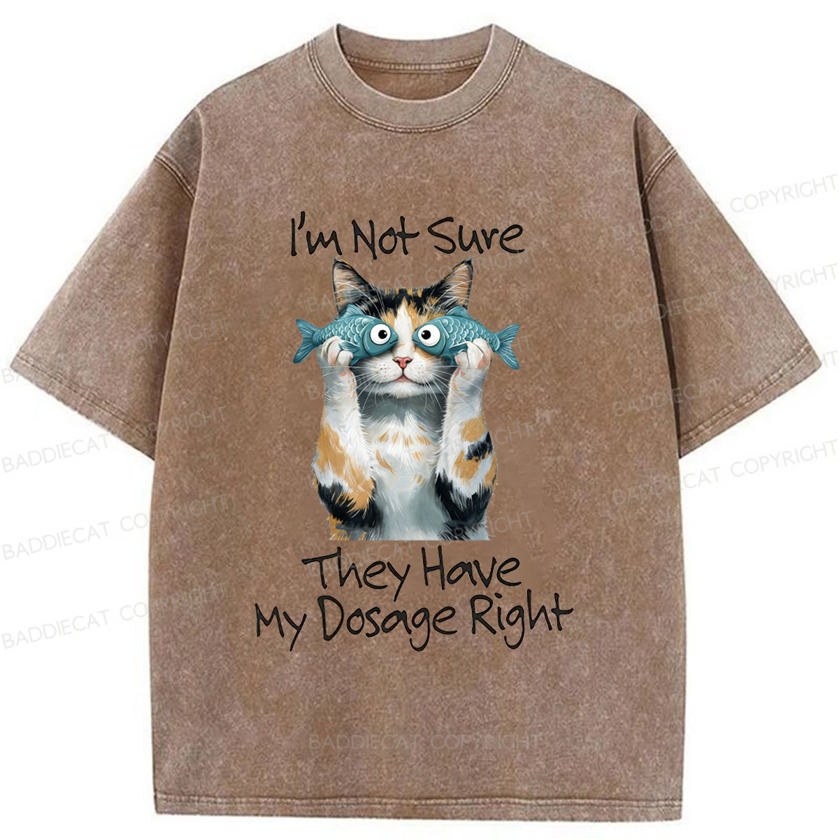 Baddiecat Cat Meme Sarcastic Ironic Washed T-shirt