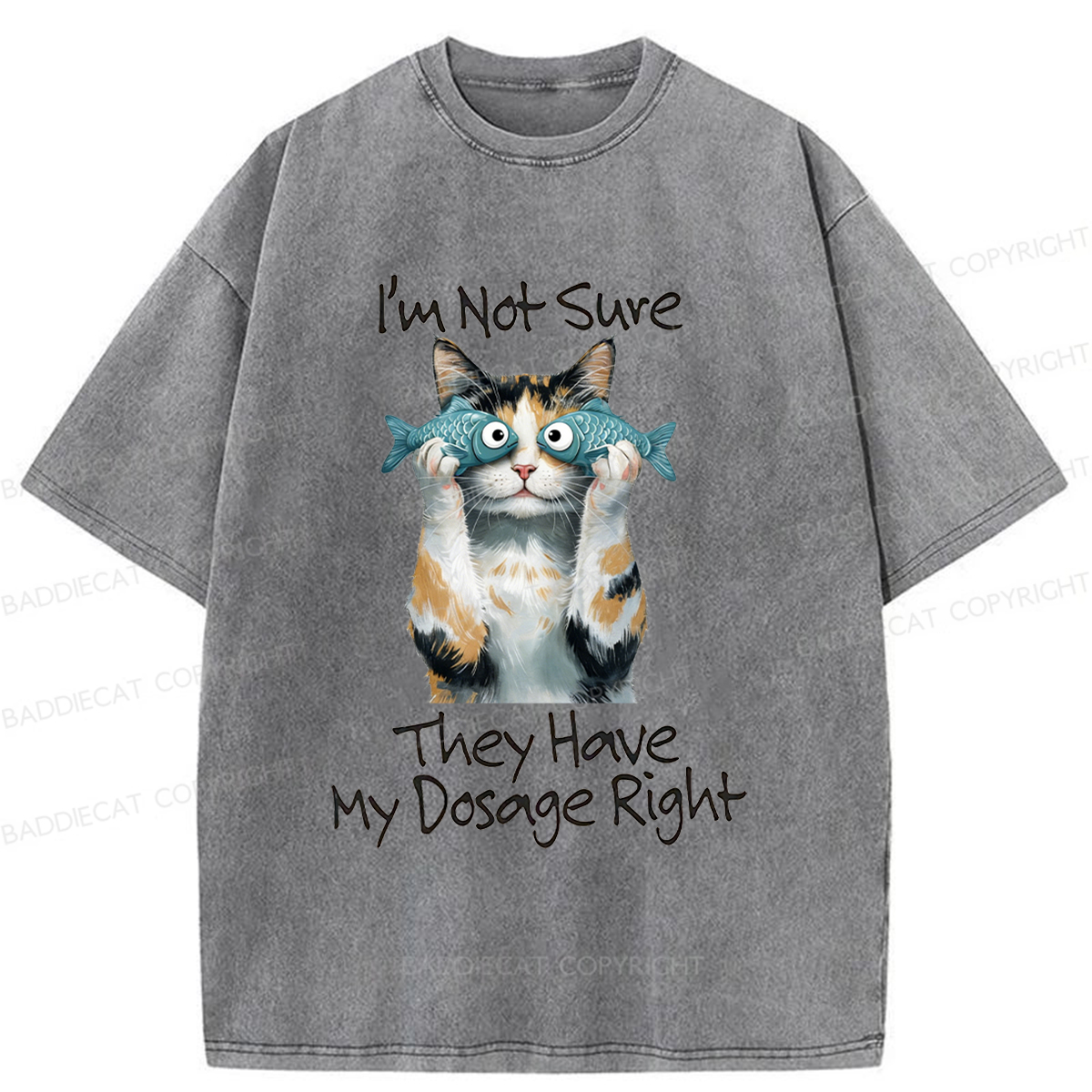Baddiecat Cat Meme Sarcastic Ironic Washed T-shirt