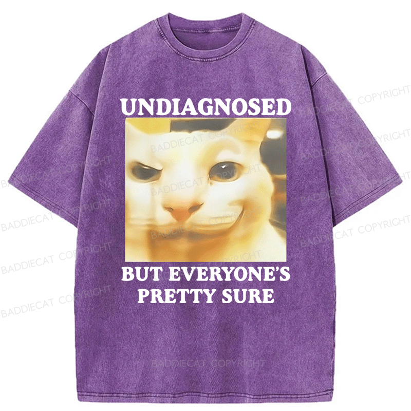 Baddiecat Undiagnosed But Everyone's Prettty Sure Cat meme Washed T-shirt