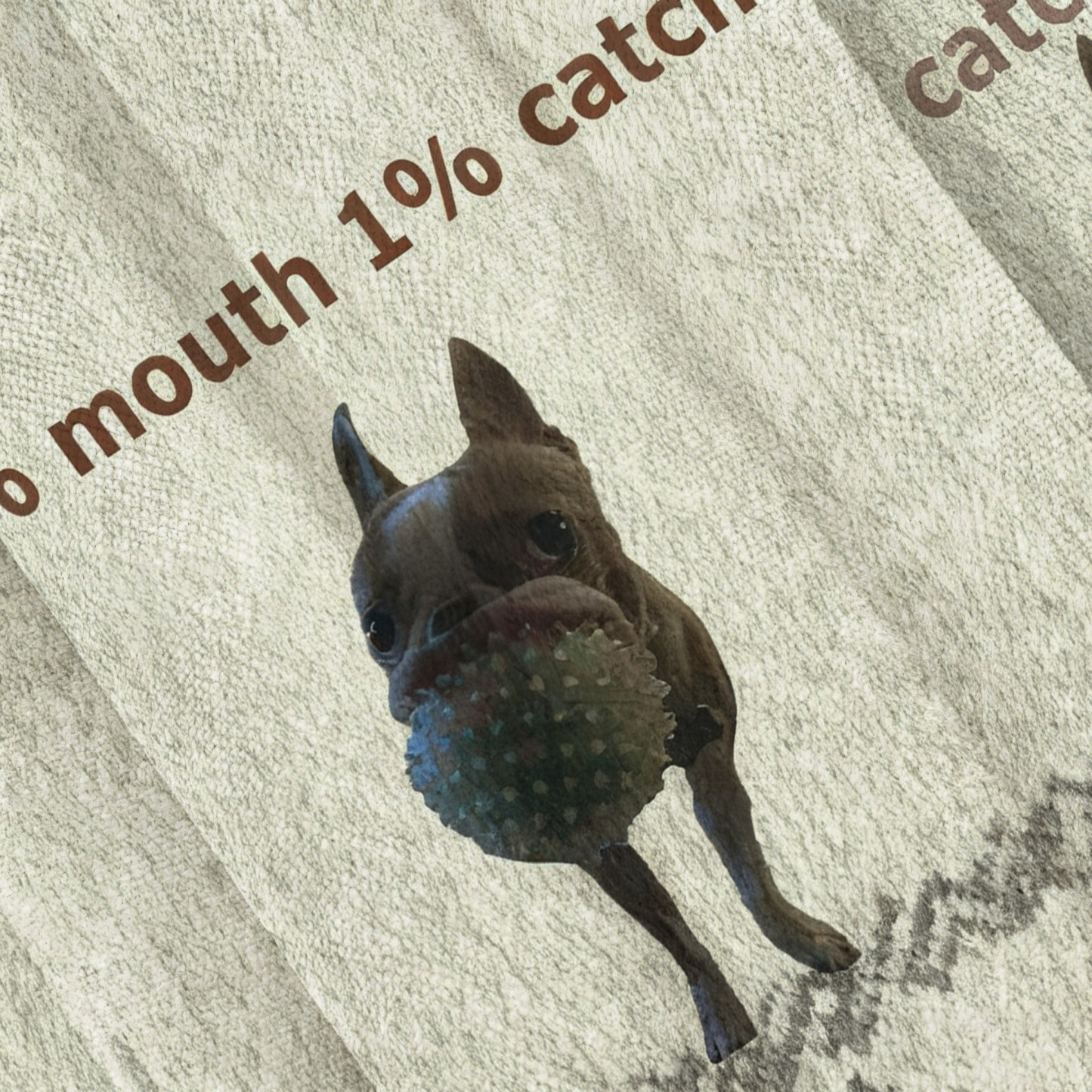 99% Mouth 1% Catch Funny Chihuahua Ugly Sweatshirt