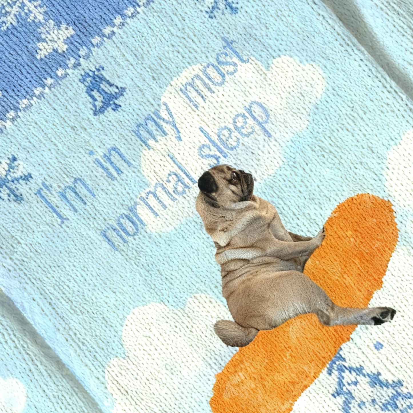 Baddiecat I'm In My Most Normal Sleep Funny Dog Christmas Ugly Sweatshirt