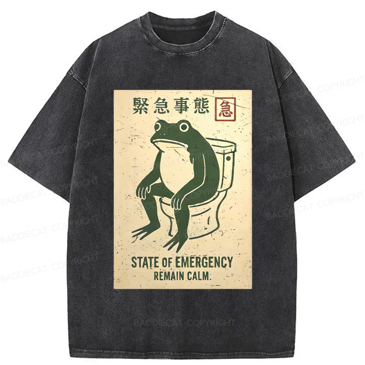 Baddiecat State Of Emergency Washed T-shirt