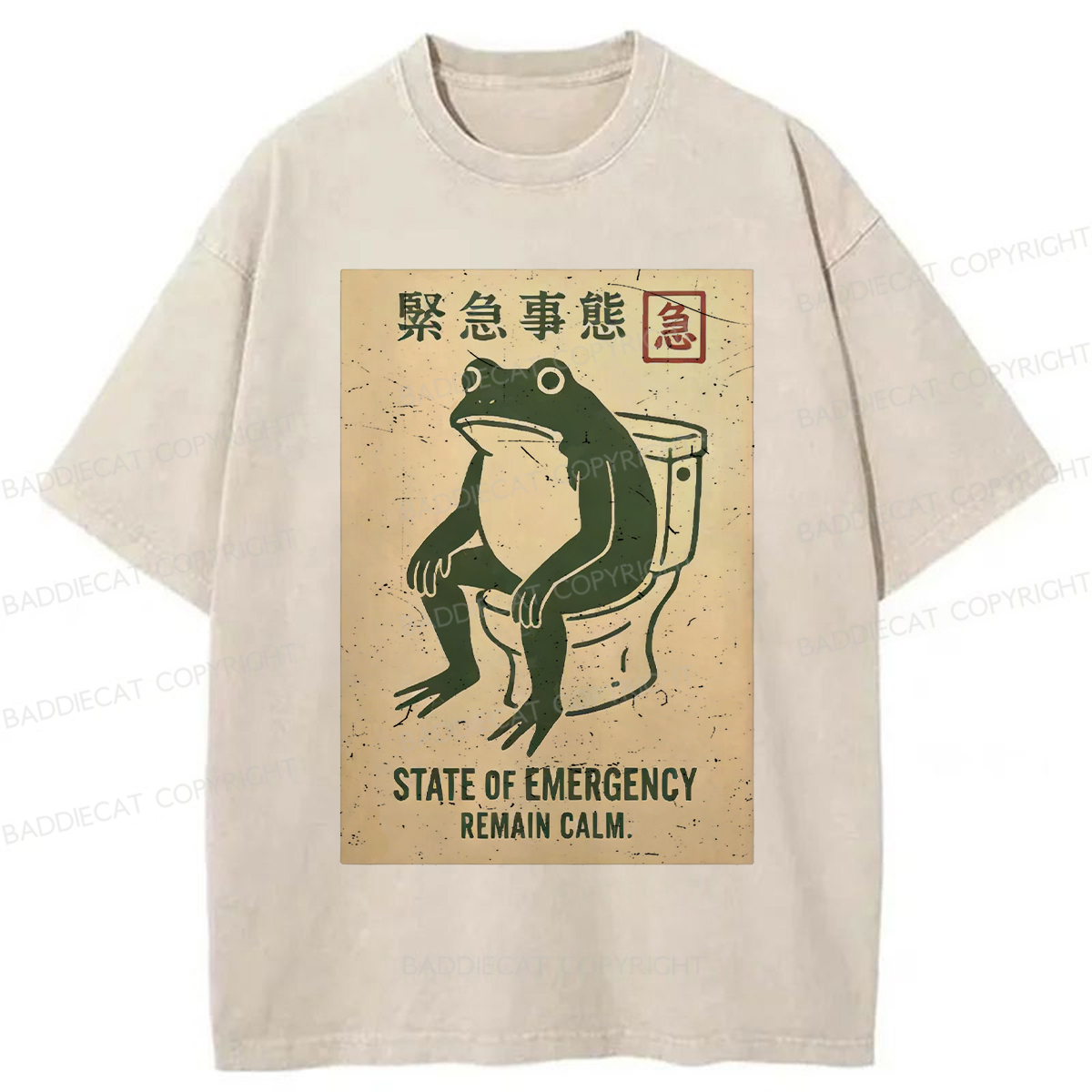 Baddiecat State Of Emergency Washed T-shirt