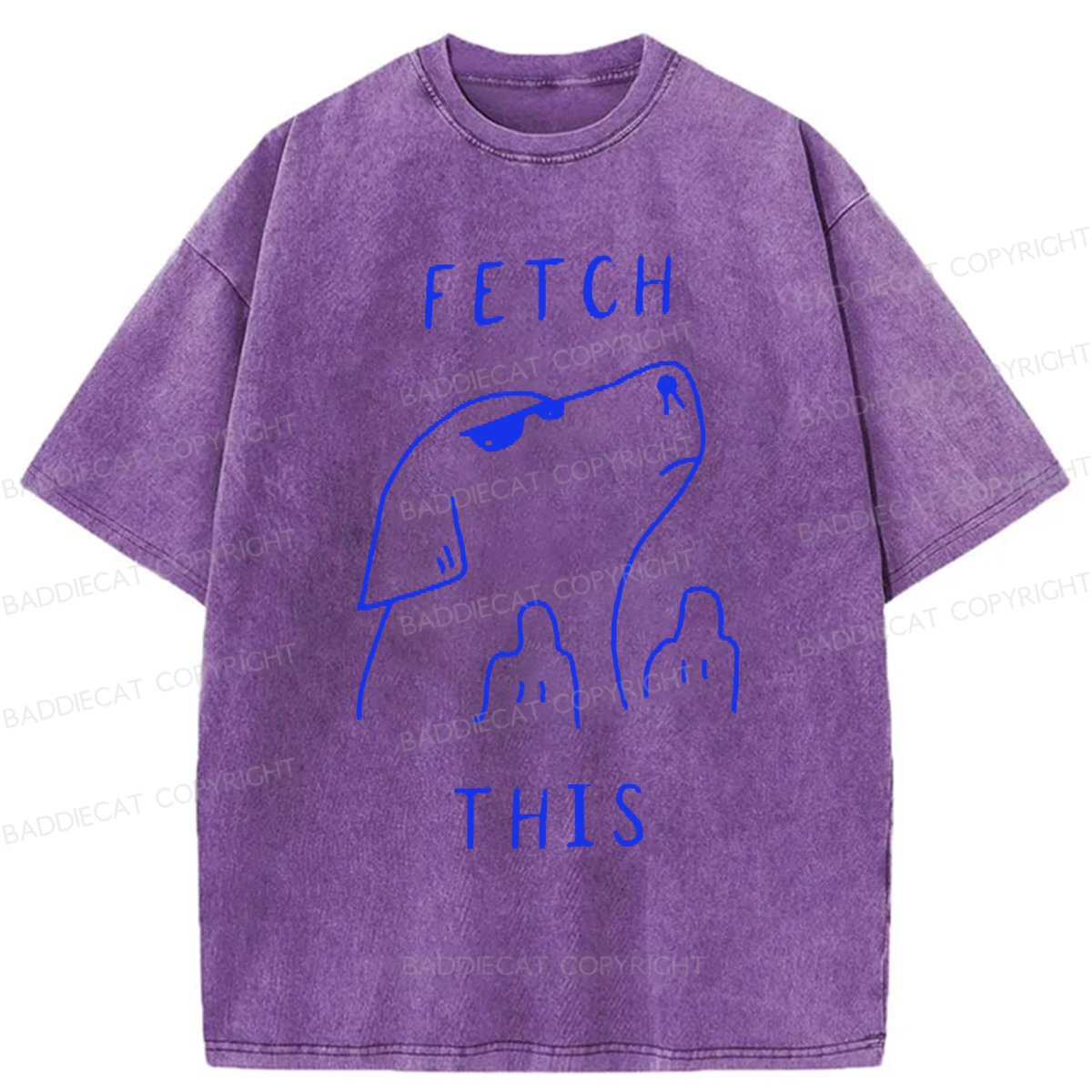 Baddiecat Fetch This Dog Washed T-shirt
