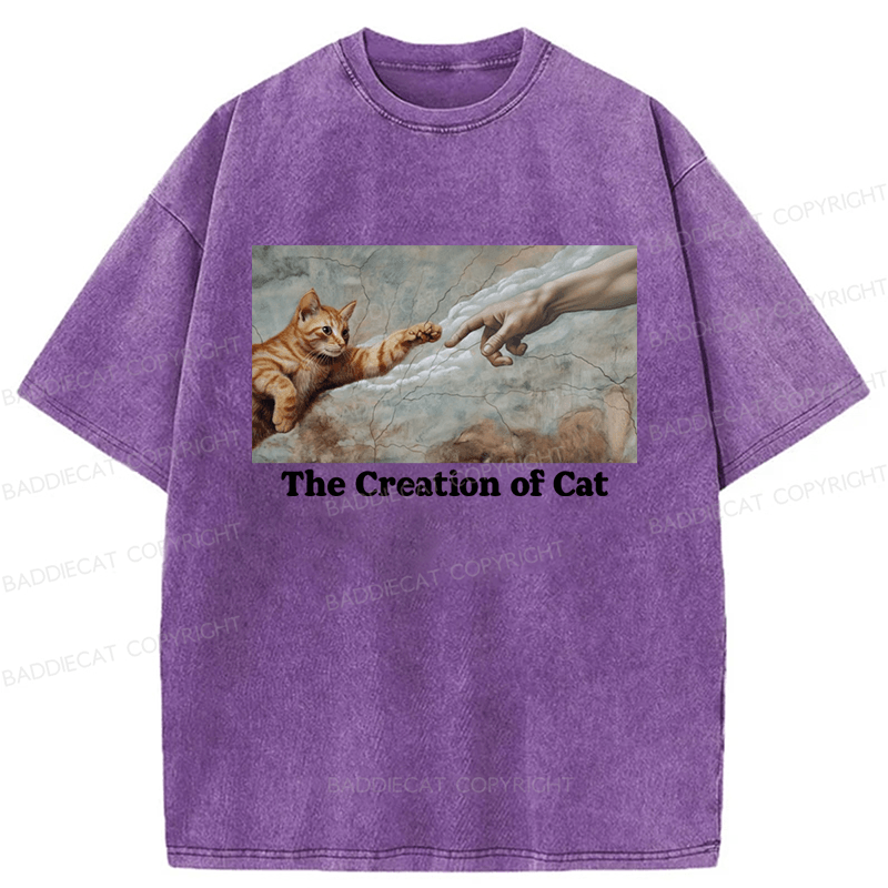 Baddiecat The Creation Of Cat Washed T-shirt