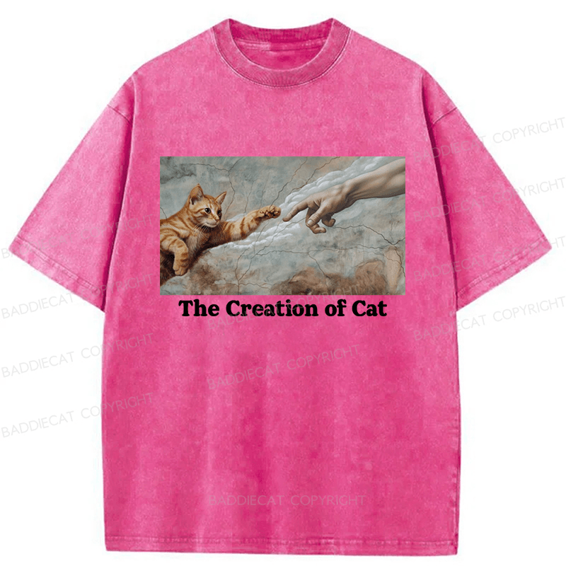Baddiecat The Creation Of Cat Washed T-shirt