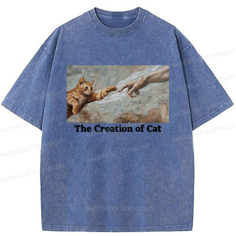 Baddiecat The Creation Of Cat Washed T-shirt