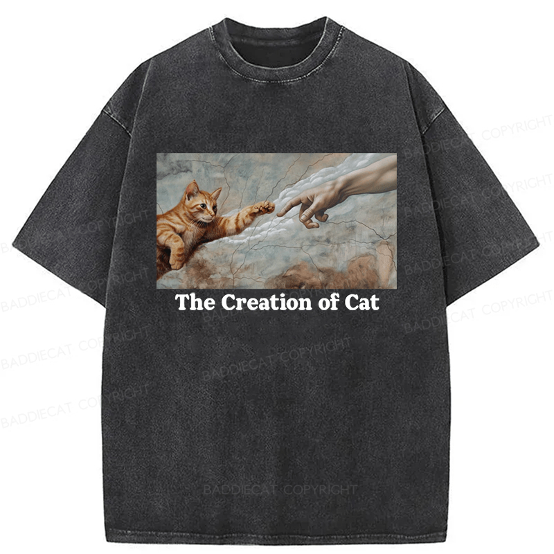 Baddiecat The Creation Of Cat Washed T-shirt