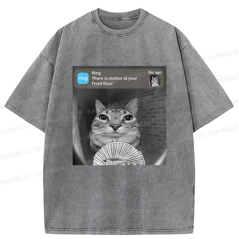 Baddiecat Cat Funny Meme Washed T-shirt