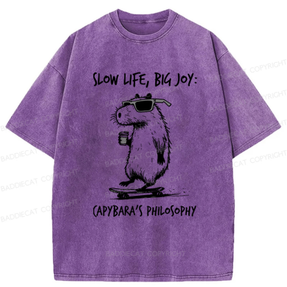 Baddiecat Capybara Playing On A Skateboard Washed T-Shirt