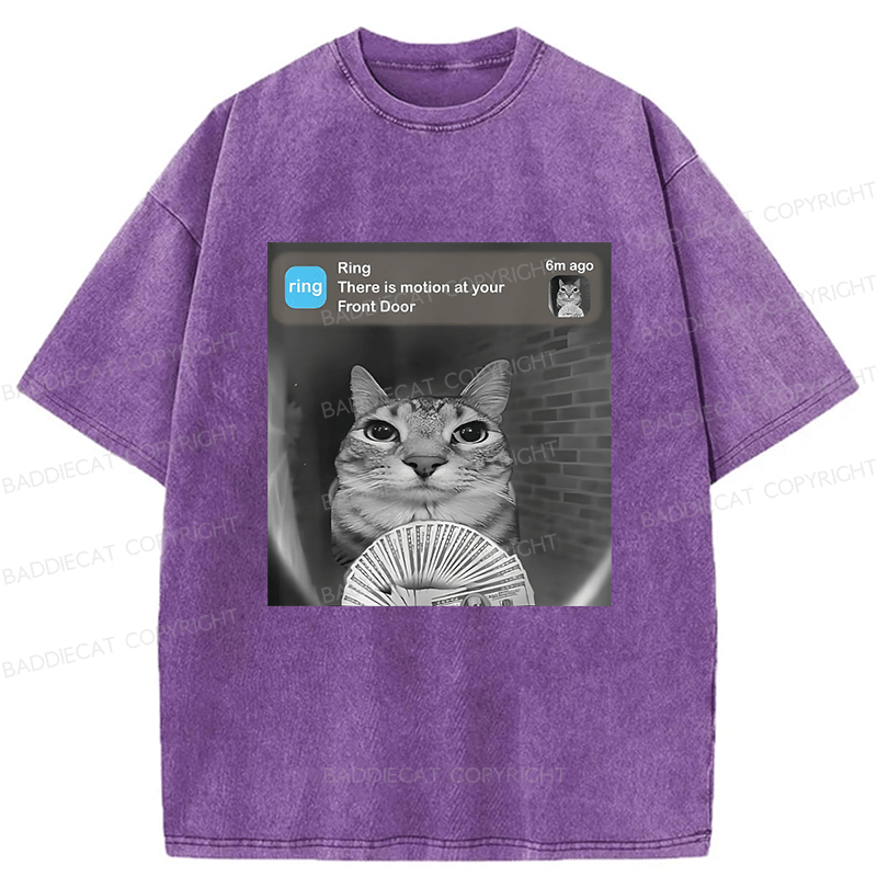 Baddiecat Cat Funny Meme Washed T-shirt