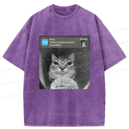 Baddiecat Cat Funny Meme Washed T-shirt