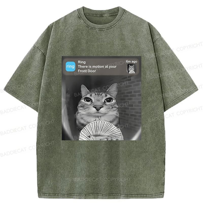 Baddiecat Cat Funny Meme Washed T-shirt