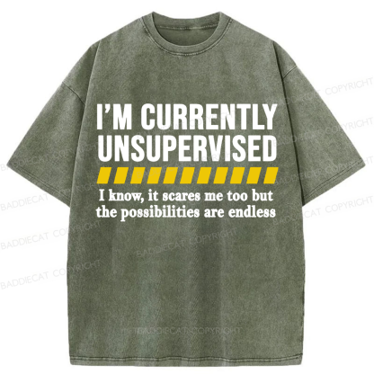 Baddiecat I'm Currently Unsupervised Washed T-shirt