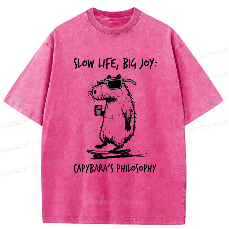 Baddiecat Capybara Playing On A Skateboard Washed T-Shirt