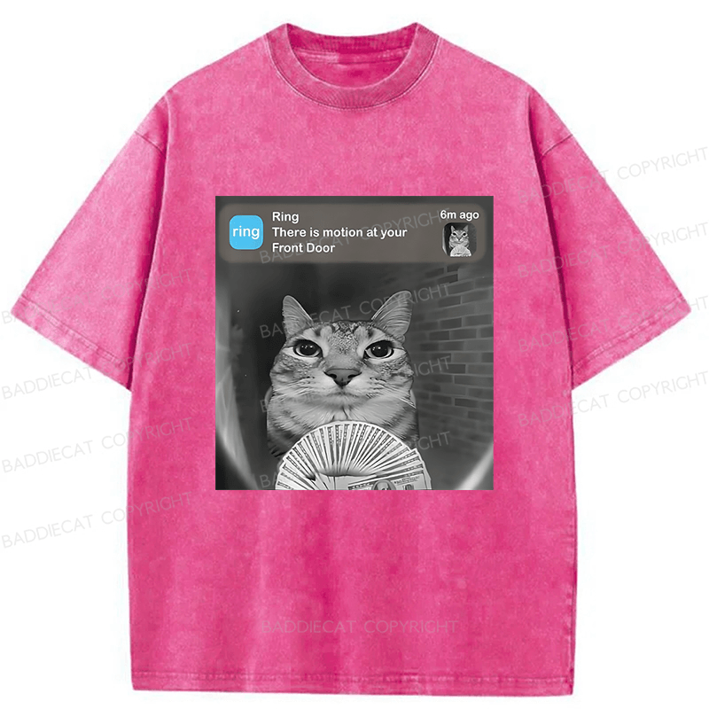 Baddiecat Cat Funny Meme Washed T-shirt